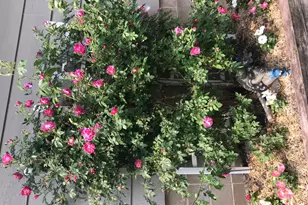 2335 2nd Ave SW, Rochester, MN 55902 - Photo 41