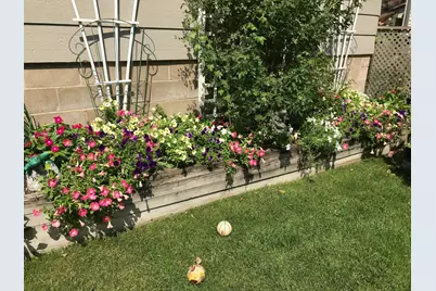 2335 2nd Avenue SW, Rochester, MN 55902 - Photo 49