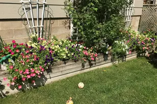 2335 2nd Ave SW, Rochester, MN 55902 - Photo 49