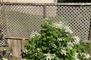 2335 2nd Ave SW, Rochester, MN 55902 - Photo 43