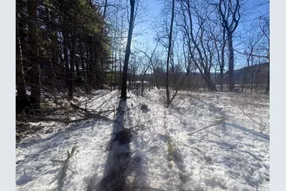 0 Hwy 95, Arcadia, WI 54612 - Photo 21