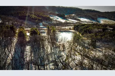 0 Hwy 95, Arcadia, WI 54612 - Photo 11