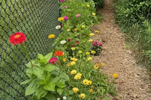 140 9th Avenue Northeast, Isanti, MN 55040 - Photo 31