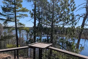 8442 Hwy 24, Cook, MN 55723 - Photo 3