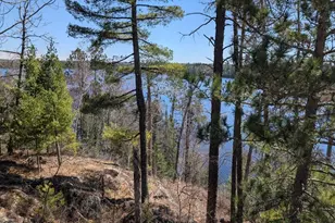 8442 Hwy 24, Cook, MN 55723 - Photo 55