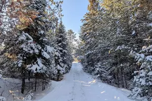 8442 Hwy 24, Cook, MN 55723 - Photo 33