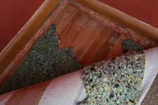 8401 32nd Ave N, Crystal, MN 55427 - Photo 21