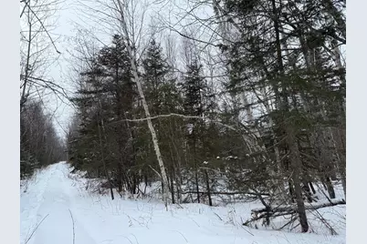 Xxx Zekes Road, Schroeder Township, MN 55613 - Photo 9