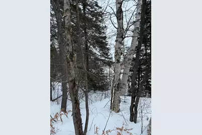 Xxx Zekes Road, Schroeder Township, MN 55613 - Photo 19