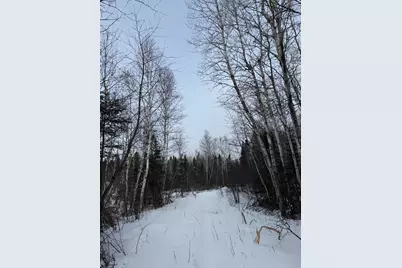 Xxx Zekes Road, Schroeder Township, MN 55613 - Photo 11