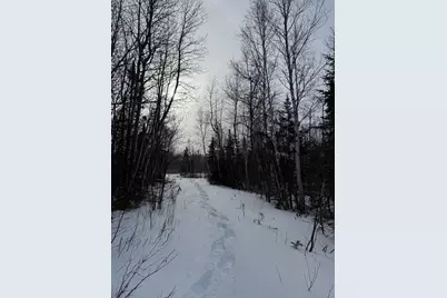 Xxx Zekes Road, Schroeder Township, MN 55613 - Photo 13