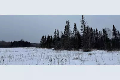 Xxx Zekes Road, Schroeder Township, MN 55613 - Photo 29