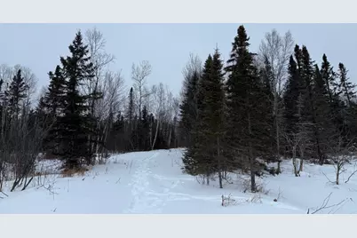 Xxx Zekes Road, Schroeder Township, MN 55613 - Photo 27