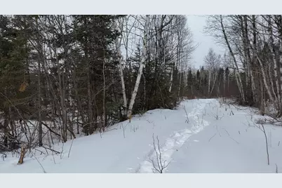 Xxx Zekes Road, Schroeder Township, MN 55613 - Photo 35