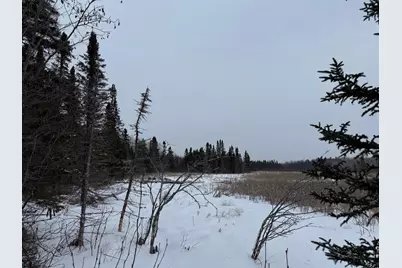 Xxx Zekes Road, Schroeder Township, MN 55613 - Photo 21