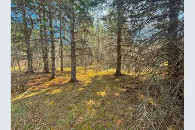 846Xx Lenawee Road, Herbster, WI 54844 - Photo 11