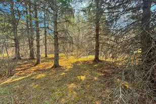 846Xx Lenawee Rd, Herbster, WI 54844 - Photo 11