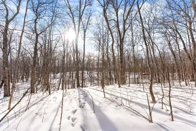 Tbd Chestnut Ln, Garrison, MN 56450 - Photo 11