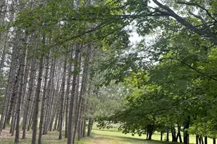 33820 Co Hwy 34, Ogema, MN 56569 - Photo 11