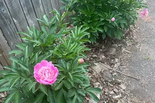 3525 Yukon Ave S, Saint Louis Park, MN 55426 - Photo 31