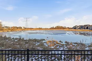 4557 Schilling Way, Woodbury, MN 55129 - Photo 29