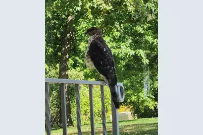 17570 Vergus Avenue, Jordan, MN 55352 - Photo 55