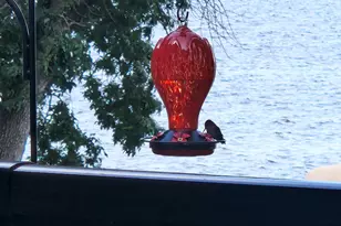 17570 Vergus Ave, Jordan, MN 55352 - Photo 47