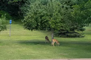 30835 141st St NW, Princeton, MN 55371 - Photo 21