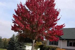 30835 141st St NW, Princeton, MN 55371 - Photo 15