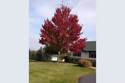 30835 141st Street NW, Princeton, MN 55371 - Photo 81