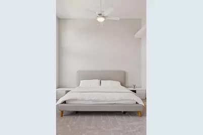 336 Spring Street, Saint Paul, MN 55102 - Photo 29