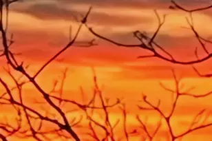 23759 Clarissa Haven Dr, Henning, MN 56551 - Photo 33