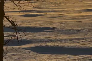 23759 Clarissa Haven Dr, Henning, MN 56551 - Photo 69