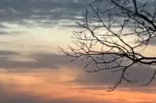 23759 Clarissa Haven Dr, Henning, MN 56551 - Photo 31