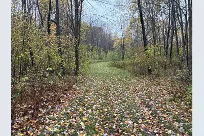 16Xxx W County Road O, Weyerhaeuser, WI 54895 - Photo 3