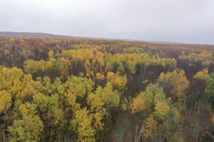 16Xxx W County Road O, Weyerhaeuser, WI 54895 - Photo 1