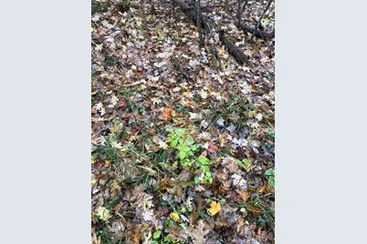 16Xxx W County Road O, Weyerhaeuser, WI 54895 - Photo 19