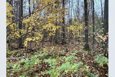 16Xxx W County Road O, Weyerhaeuser, WI 54895 - Photo 17