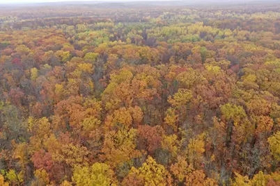 16Xxx W County Road O, Weyerhaeuser, WI 54895 - Photo 7