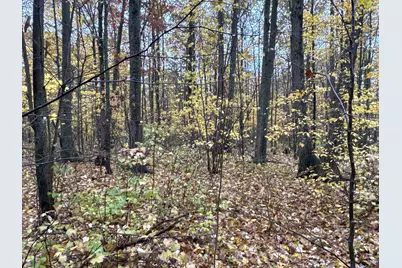 16Xxx W County Road O, Weyerhaeuser, WI 54895 - Photo 11