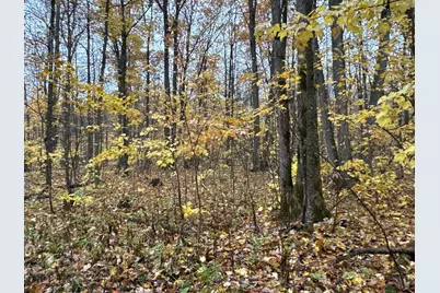 16Xxx W County Road O, Weyerhaeuser, WI 54895 - Photo 27