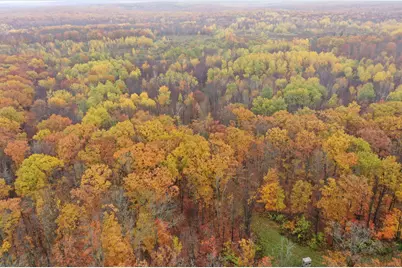 16Xxx W County Road O, Weyerhaeuser, WI 54895 - Photo 23