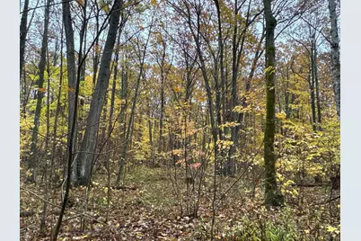 16Xxx W County Road O, Weyerhaeuser, WI 54895 - Photo 21