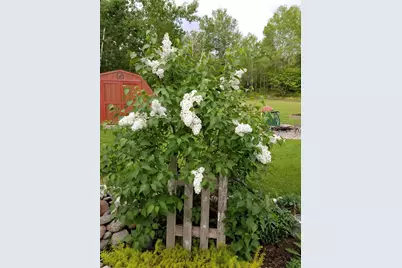 12502 Van Horn Road, Floodwood, MN 55736 - Photo 53