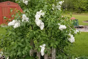 12502 Van Horn Rd, Floodwood, MN 55736 - Photo 53