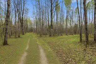 12502 Van Horn Rd, Floodwood, MN 55736 - Photo 75
