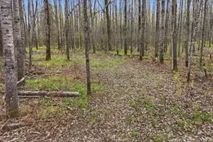 12502 Van Horn Rd, Floodwood, MN 55736 - Photo 65
