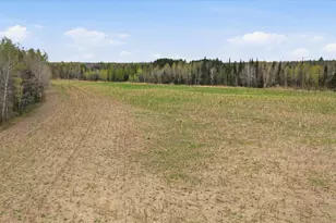 12502 Van Horn Rd, Floodwood, MN 55736 - Photo 63