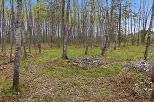 12502 Van Horn Rd, Floodwood, MN 55736 - Photo 67