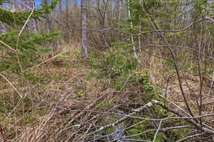 12502 Van Horn Rd, Floodwood, MN 55736 - Photo 59